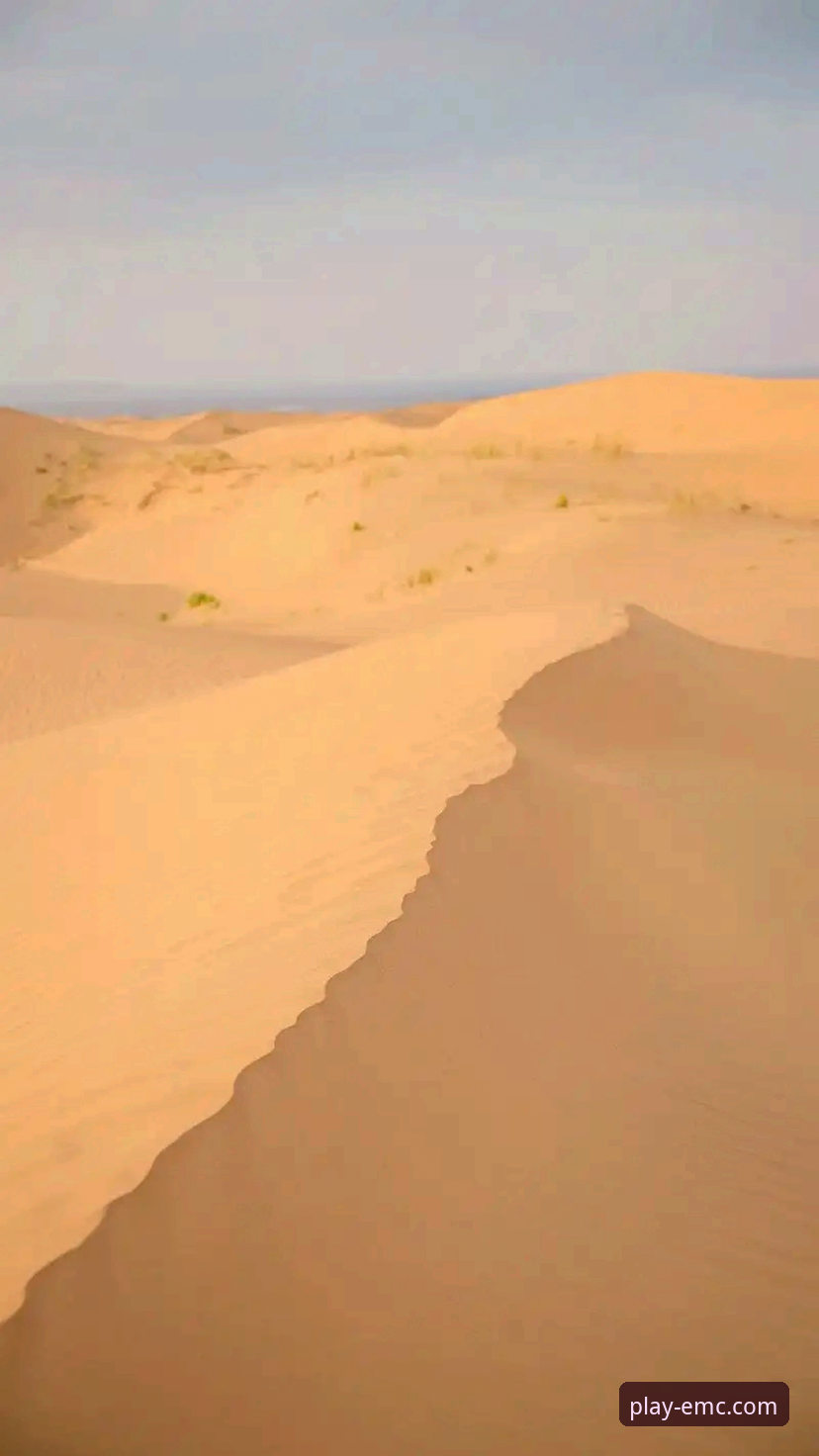 易倍体育在线娱乐怎么样 沙漠天堂前的数字困境:从迪拜到印第安维尔斯的路径分析与平台体验深度评测